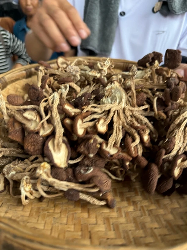 农家晒制茶树菇干货