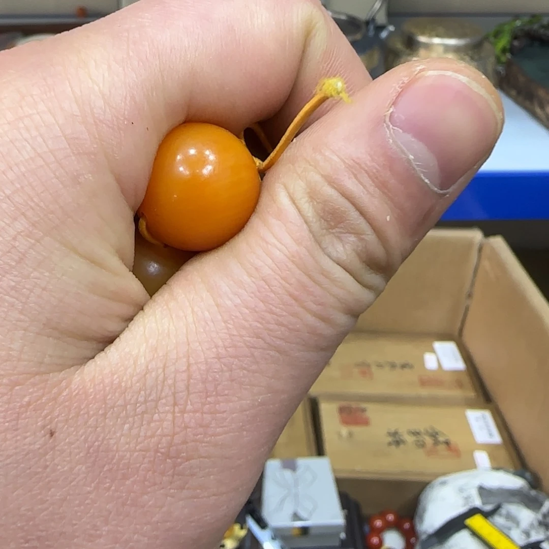 茶宠我们的生活是这样的