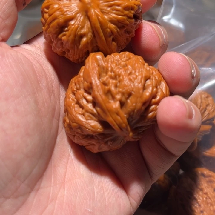 宝***爺把件桃核狮子头核桃