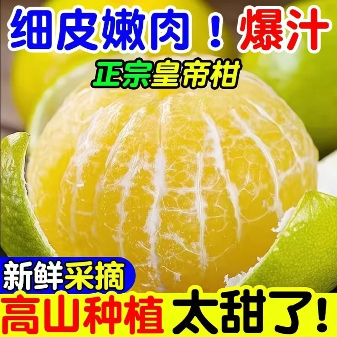 正宗广西皇帝柑大果果王贡柑橘子清甜多汁新鲜现采现发包邮5/9斤
