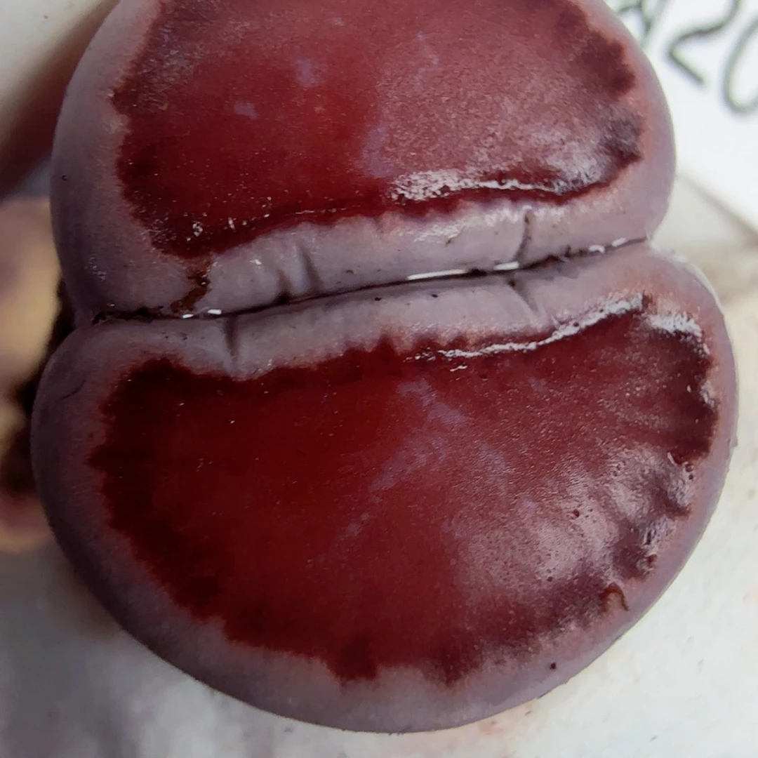 到最后只知道了这个名字哈哈太430