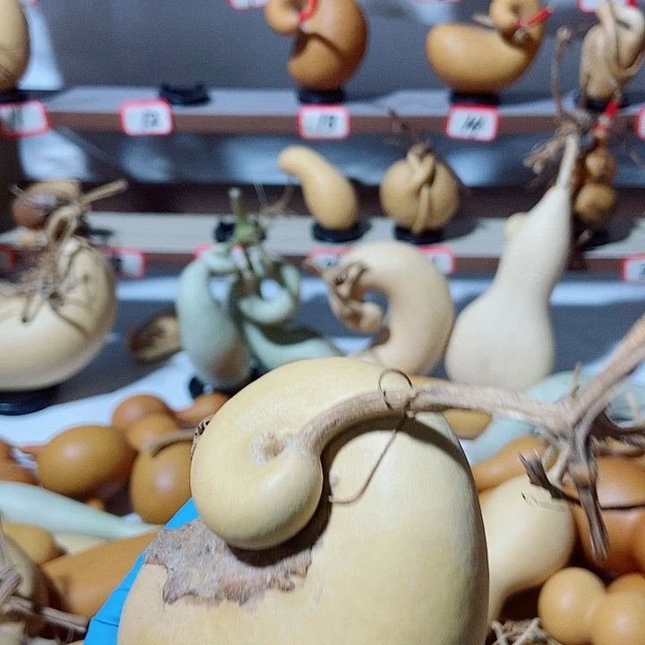 直播间里的拍品链接