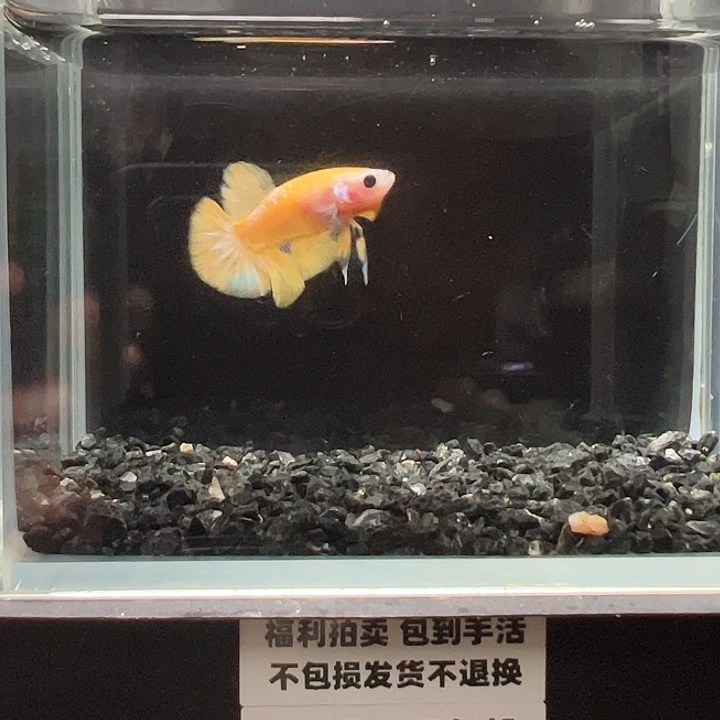 斗鱼满30包邮11日