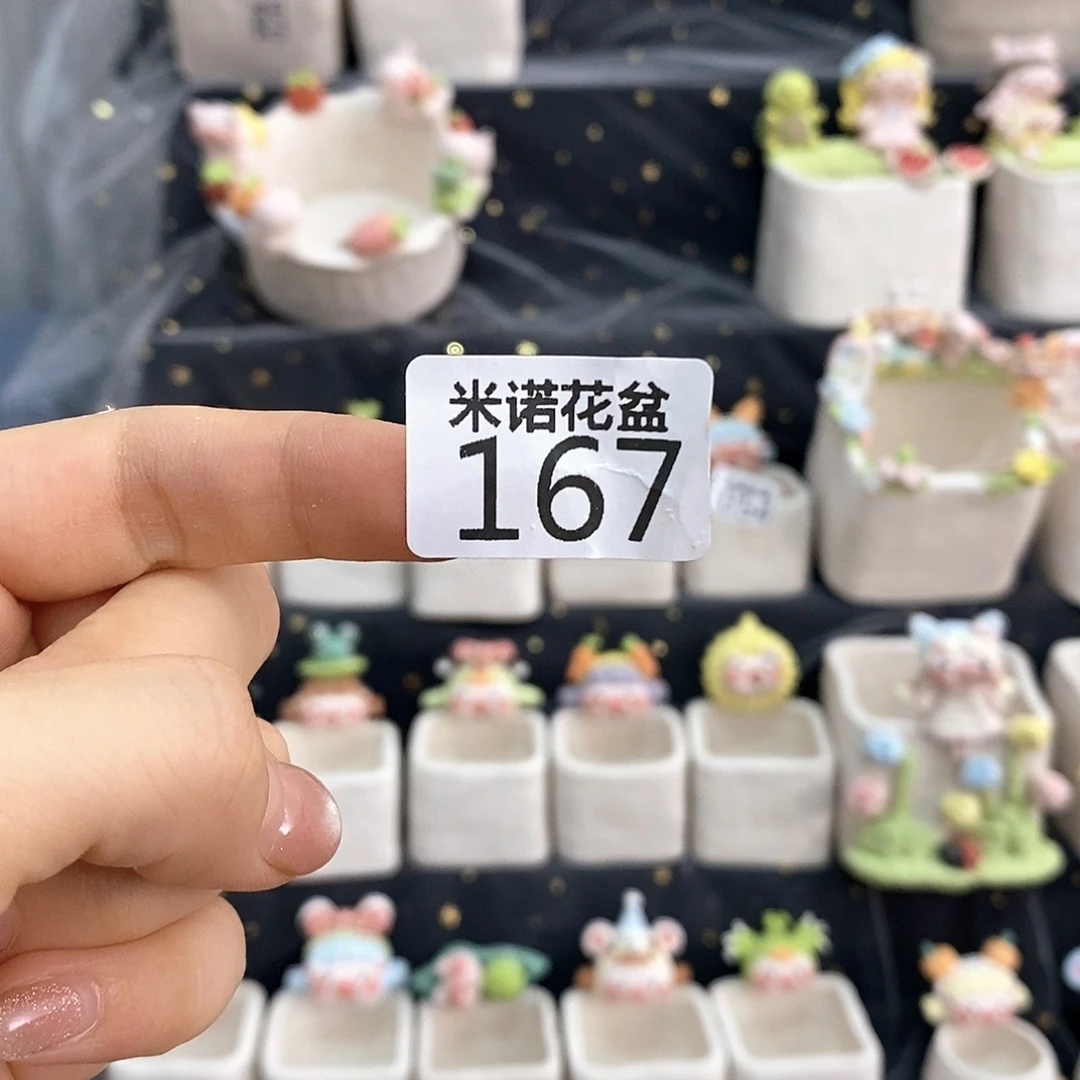 米诺多肉植物花盆167
