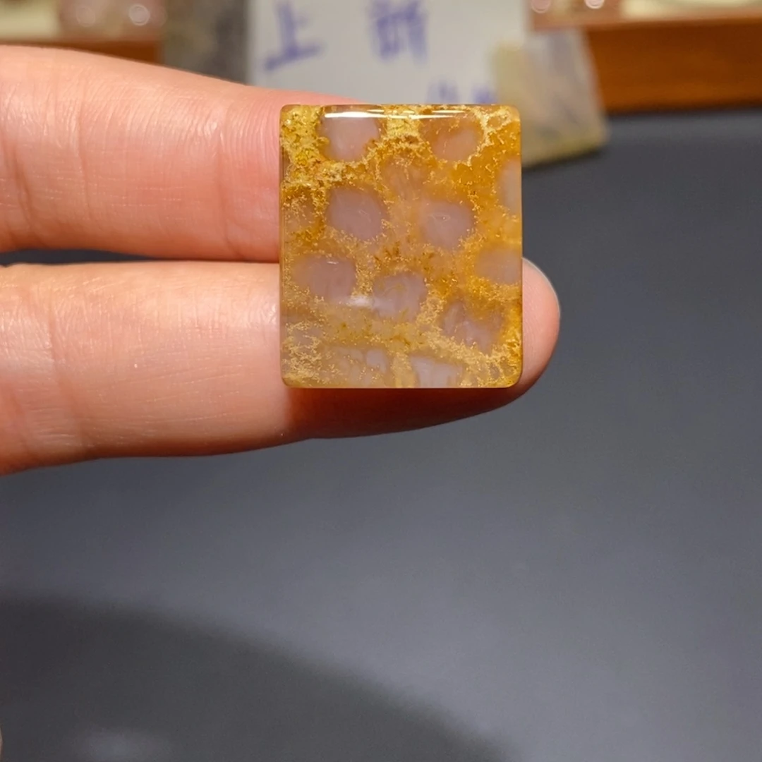 【闪购商品】未镶嵌珊瑚玉硅化玉