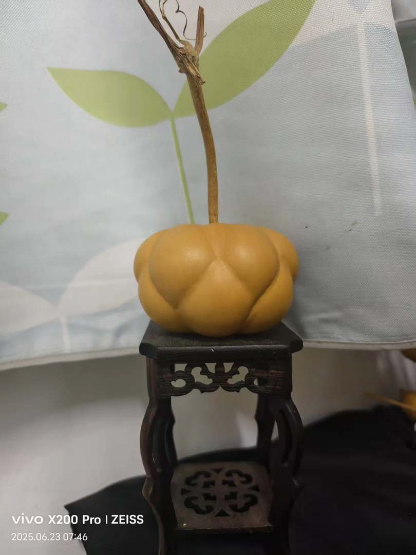 （直播间专属）摆件