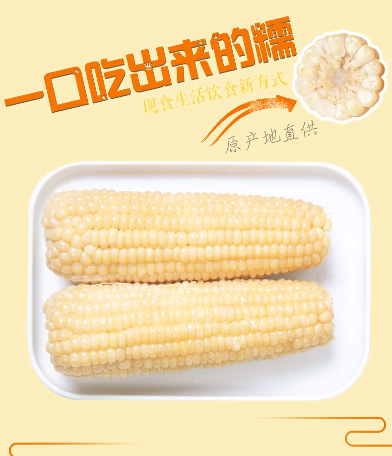 东北甜糯玉米（小白糯玉米）260克～300克（10根）5.5～6斤试吃4根