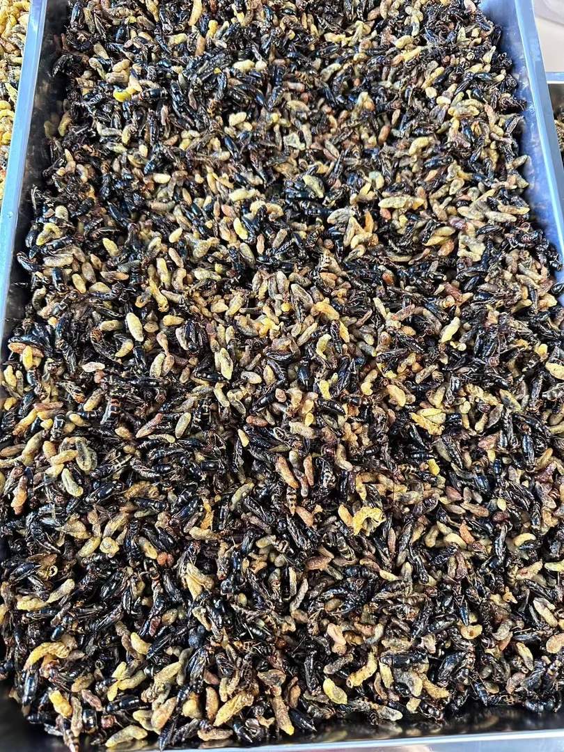 【福利品】蜂蛹3~4级小黄小黑下酒必备嘎嘣脆当天现炸还易保存