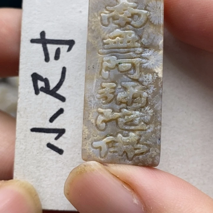 硅化珊瑚（珊瑚玉）未镶嵌颈饰