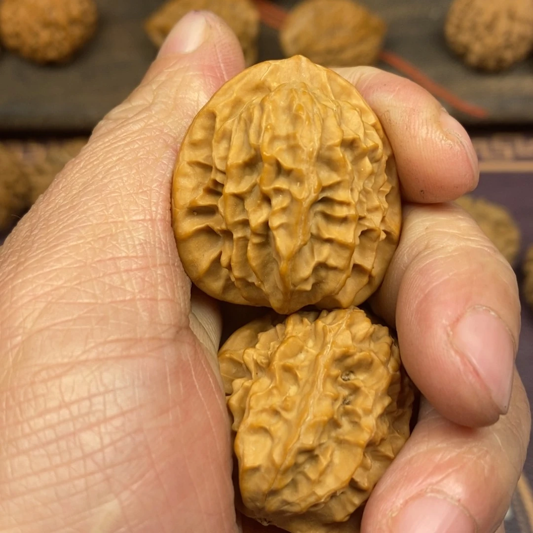 虎***军秦岭山脉北段北移