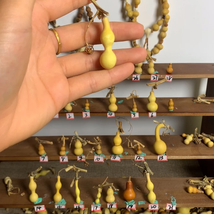 小***包打孔不退不换！秒拍秒退拉黑！