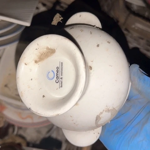 瓷片国营厂库存微瑕10厘米