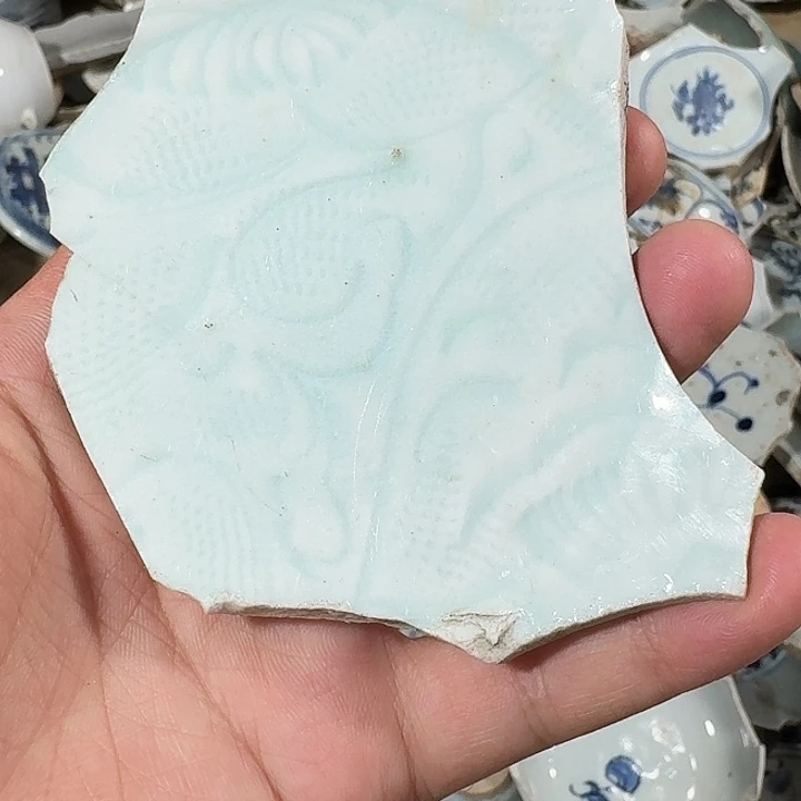 瓷片瓷片标本，顺丰包邮
