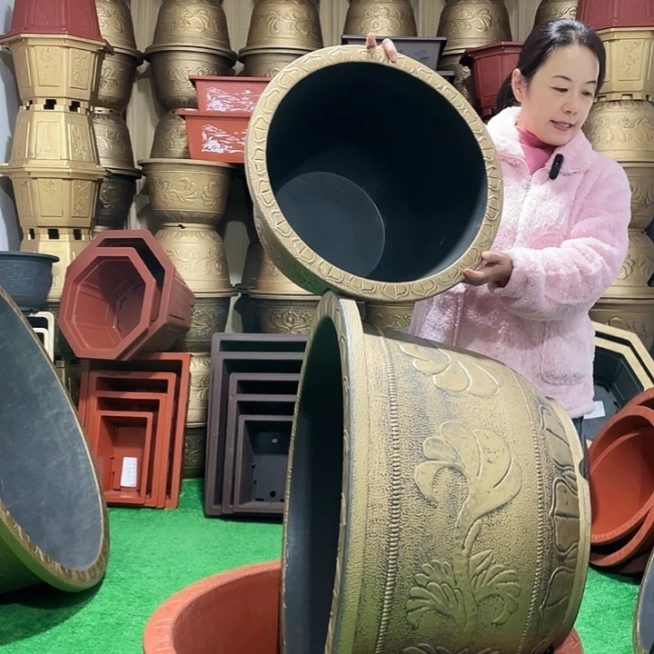 圆盆古铜八零一个