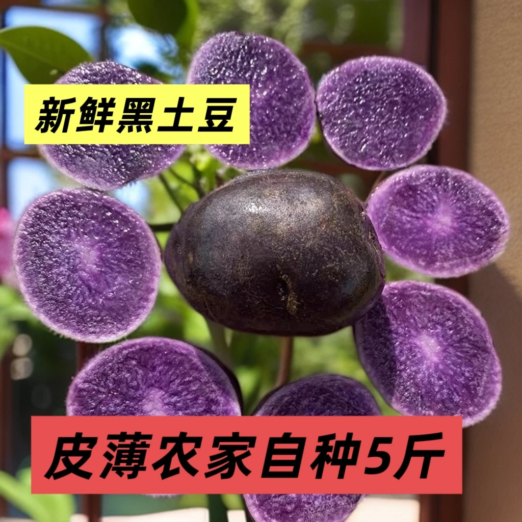 新鲜5斤紫土豆黑土豆农家紫皮紫心马铃薯乌洋芋黑金刚农土豆
