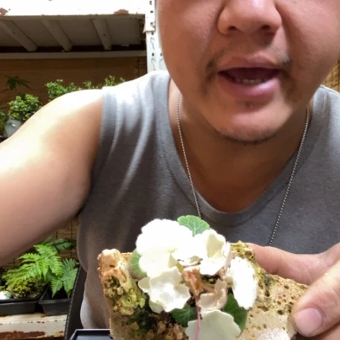 红陶温*莎一物一拍所见即所得188