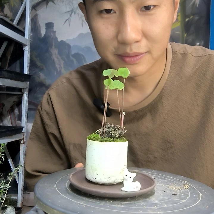 ?中青园艺一物一拍162