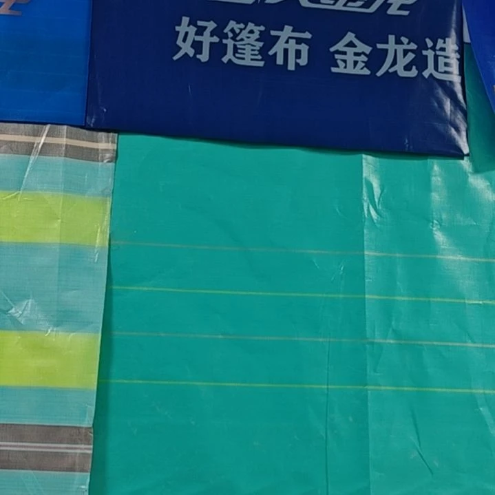 绒质哈哈哈哈哈哈