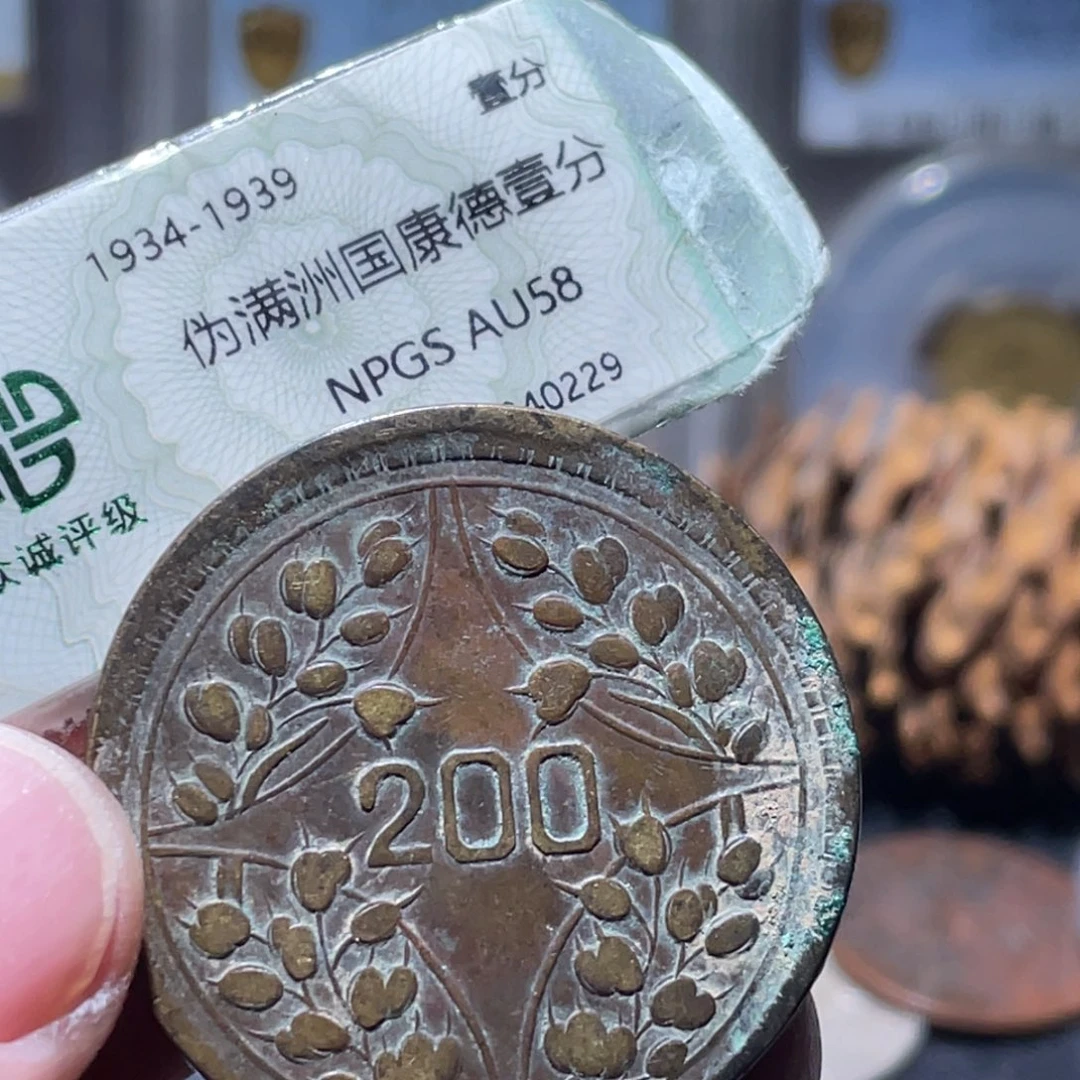 铜通古博今251206范范01