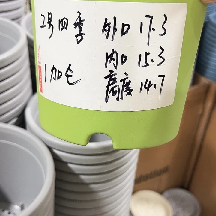 特价2号四季口17高14混色无托10个