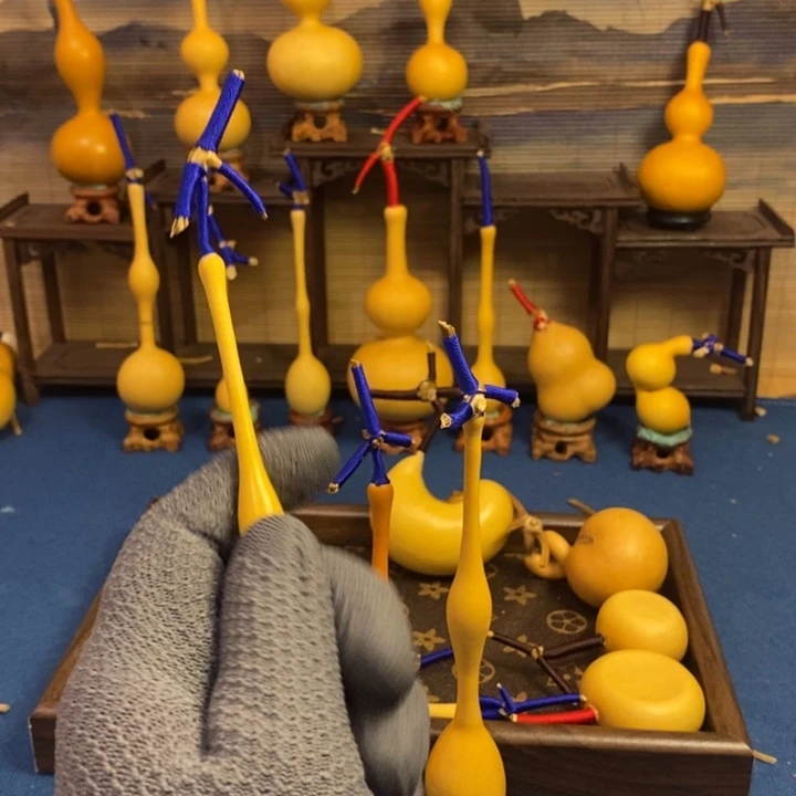 金*个g哈哈哈个姑姑v个1