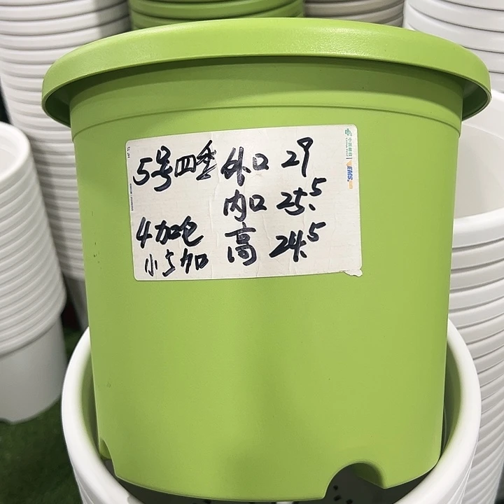 特价5号口29高24.5白色5只无托