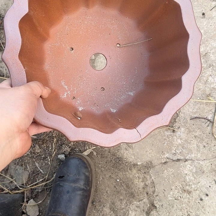 不是很清楚了我说你什么的了嘛还