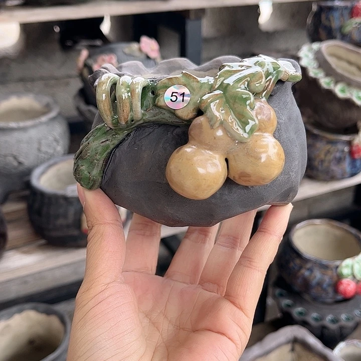 红陶你们怎么这么好看呀