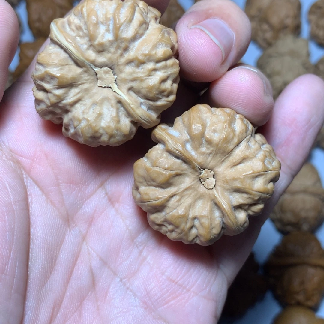 文玩核桃把件霏哥专拍蛤蟆头四开