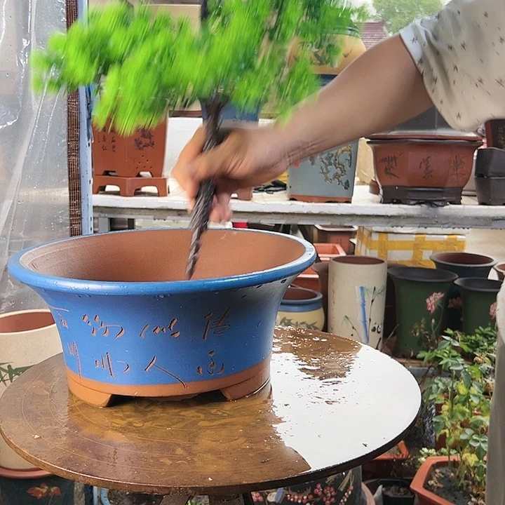 宜兴紫砂33蓝票口