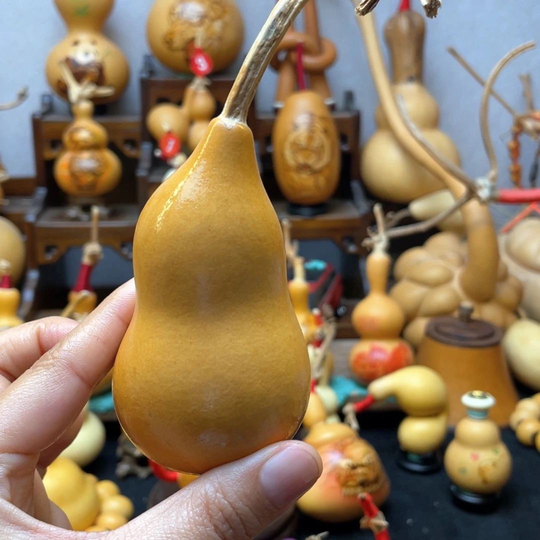 阳*下大自然的秘密第十节第一节第一