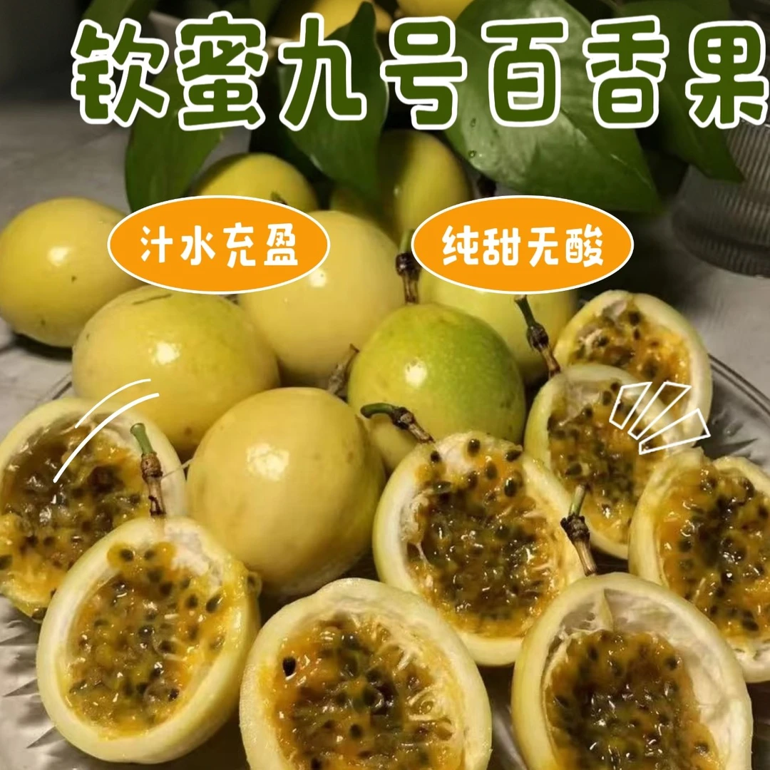 广西钦蜜九号黄金百香果当季新鲜水果现摘现发