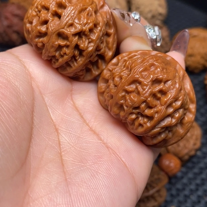 秦岭野生0000000014