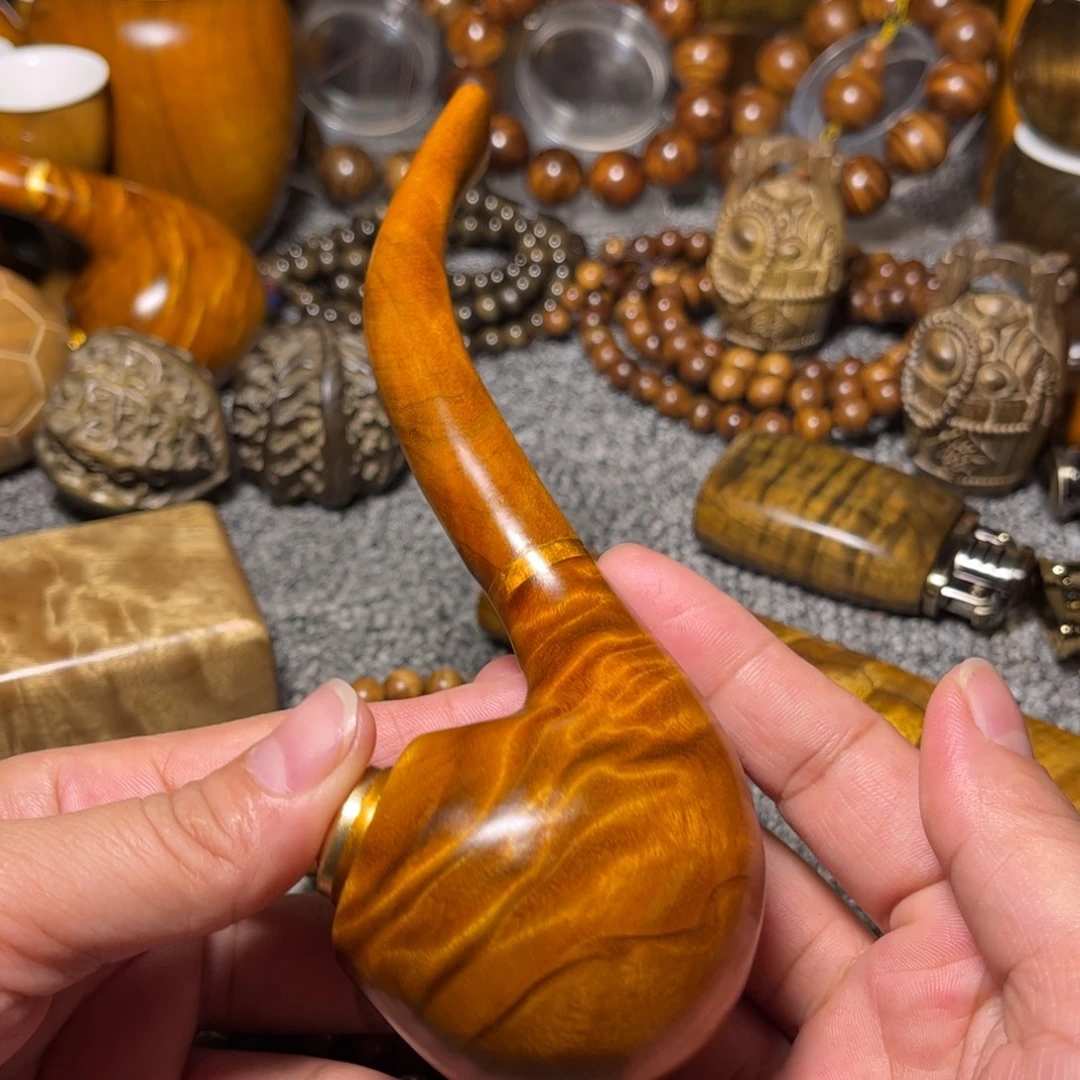 金丝楠龙胆烟斗小叶