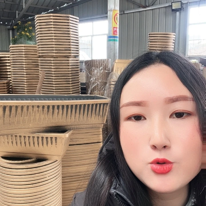 复合钟*圆形50花盆2个