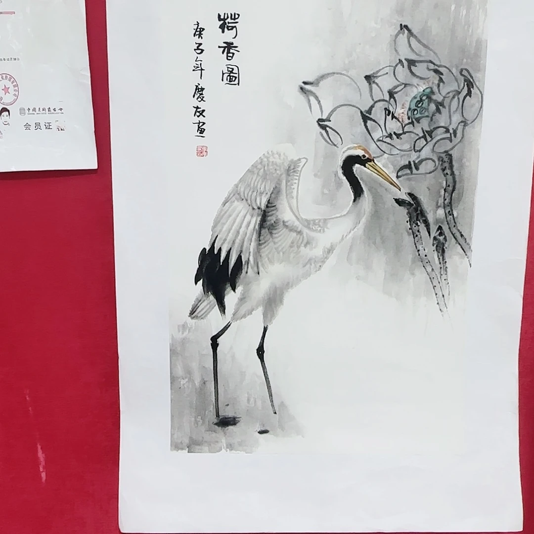 国画红皮书指出在这