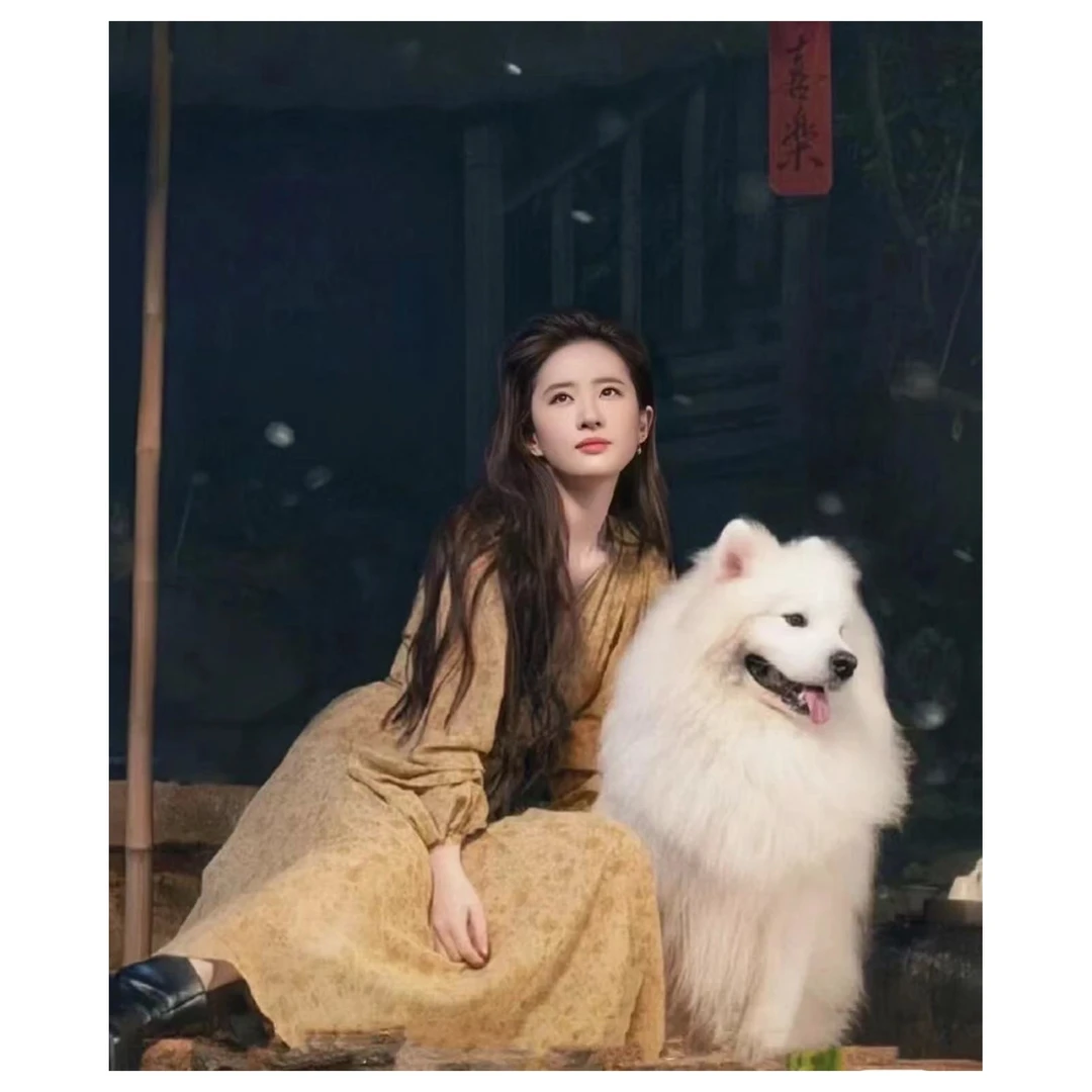 MOUSSY 刘亦菲同款显瘦碎花连衣裙新款法式高腰纽扣气质连衣裙