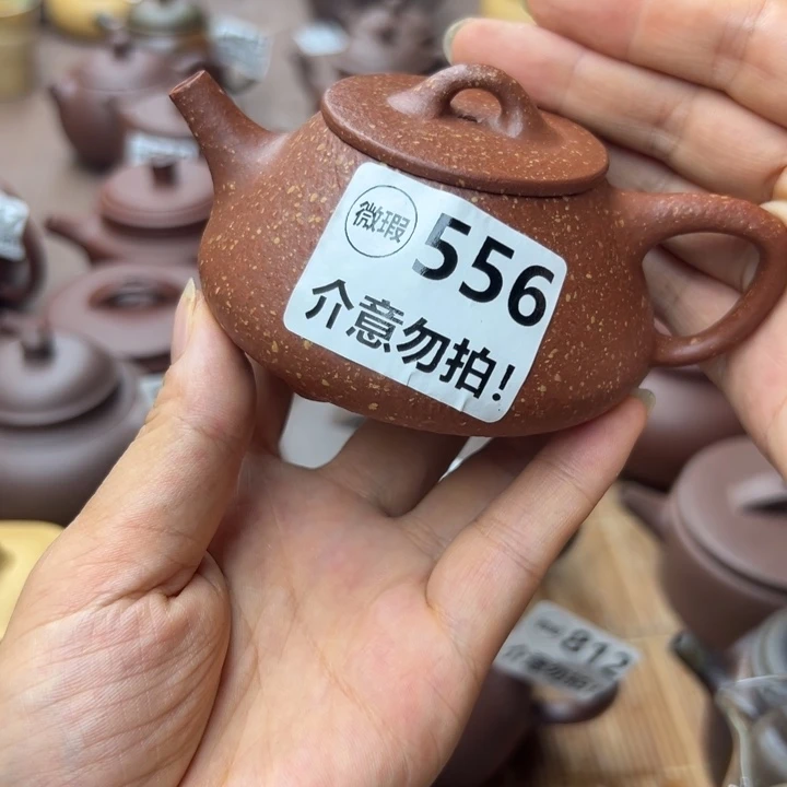 茶壶紫砂降坡泥瑕疵130