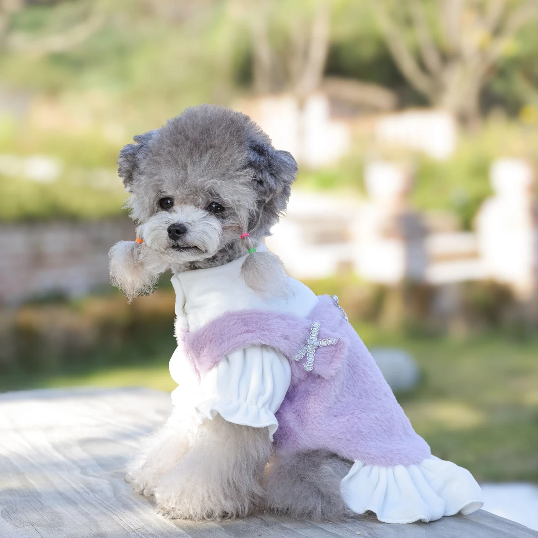 紫绒白纱钻饰蝴蝶结宠物轻奢公主裙