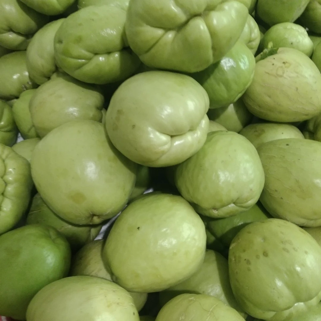 贵州水果洋丝瓜长寿瓜洋瓜