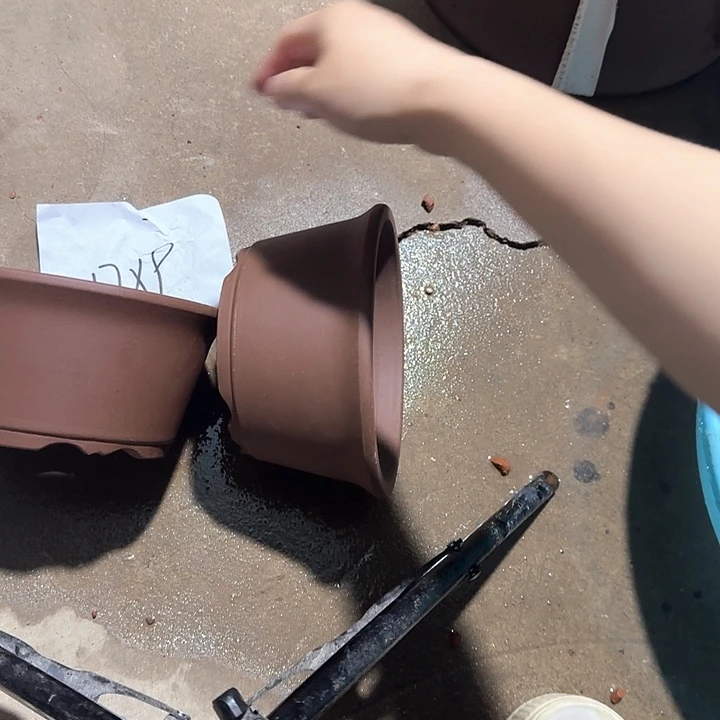 紫砂花盆破损包赔