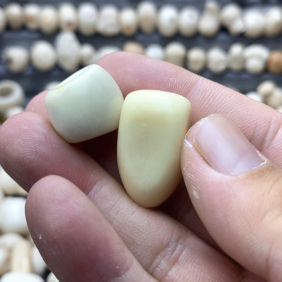 想***见菩提根/象牙果吊坠