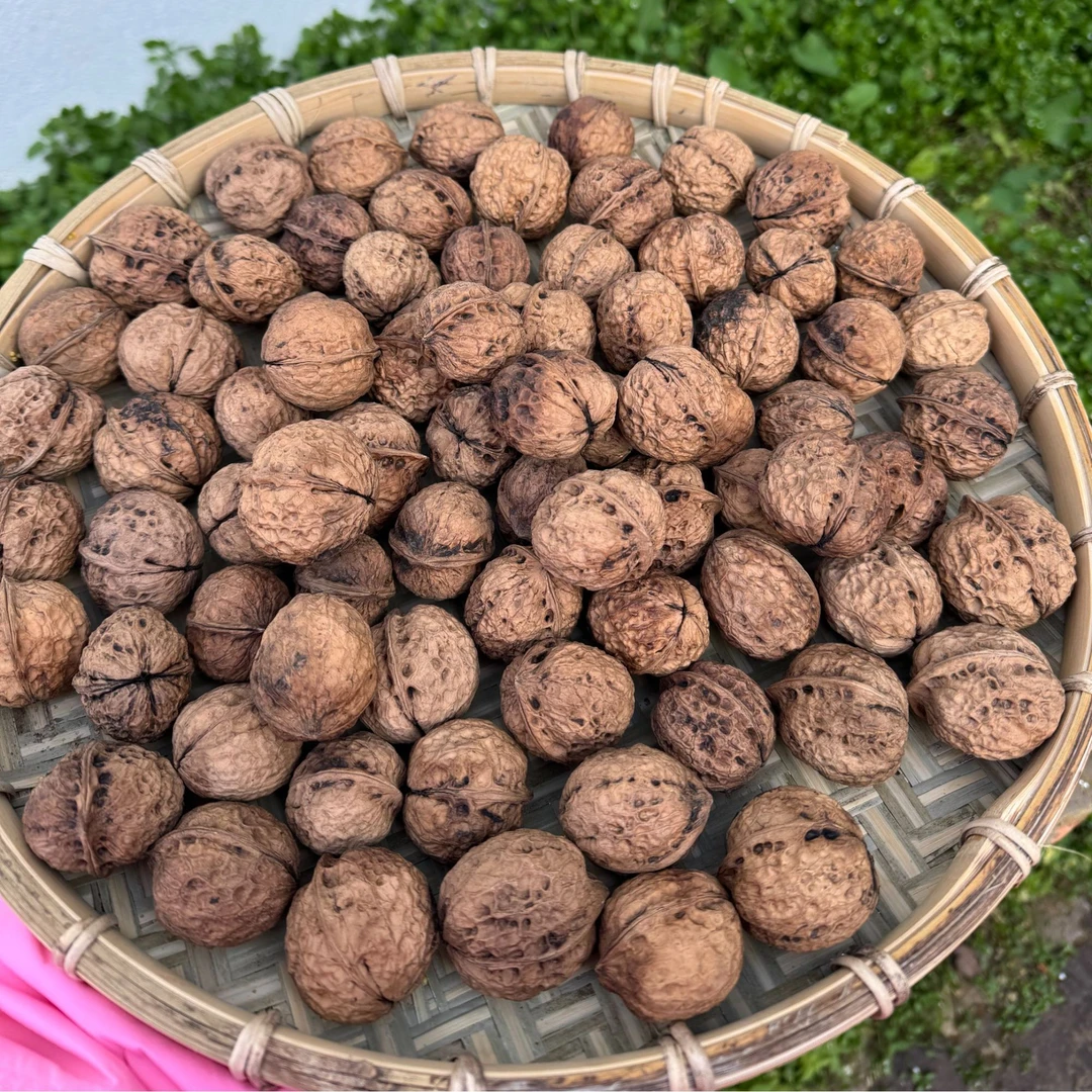 山核桃[老乡现收]