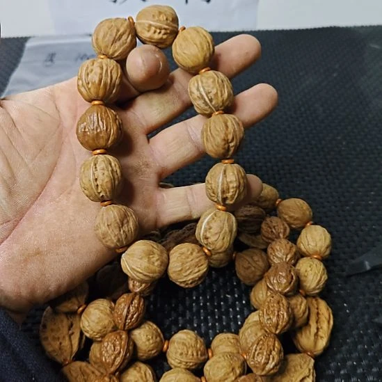 菩提籽类太行山货郎      2