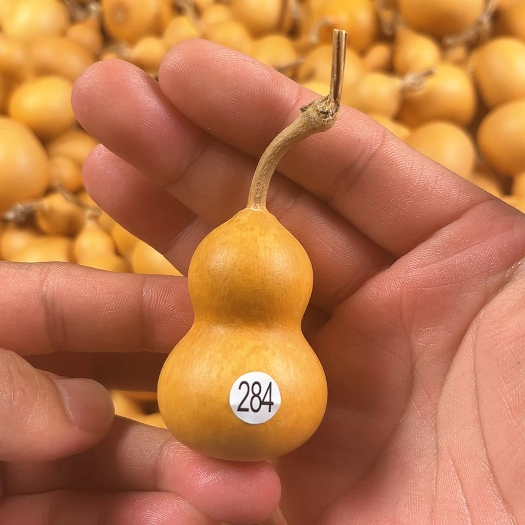 一葫芦葫芦葫芦葫芦葫芦284