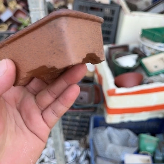 一哈来不急不快嘛亲爱你