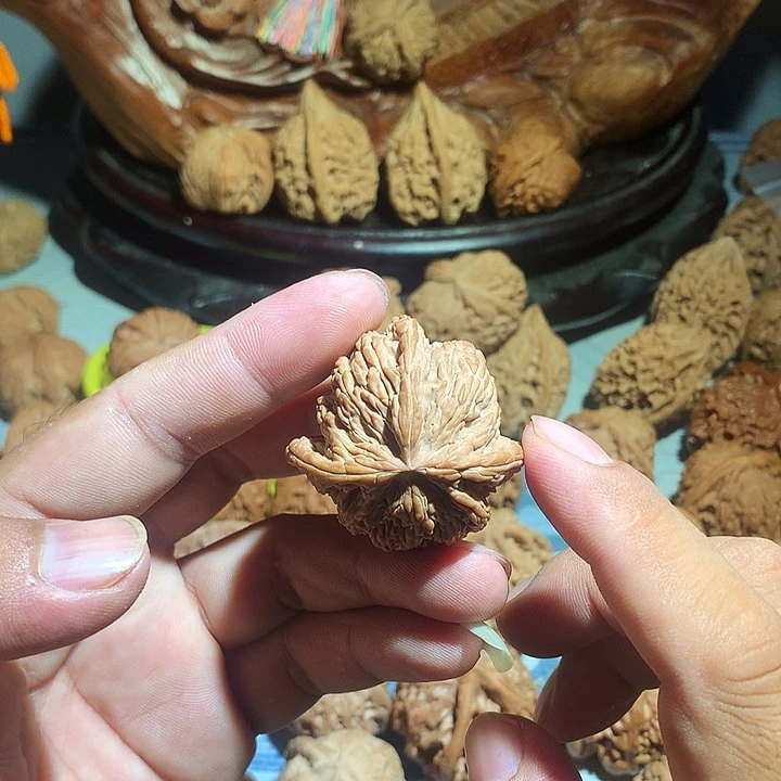 邢***猪把件文玩核桃三棱