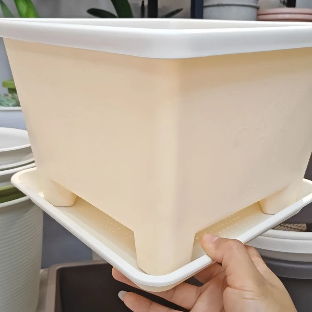 球根方盆外口径27高19，象牙白带拖五个