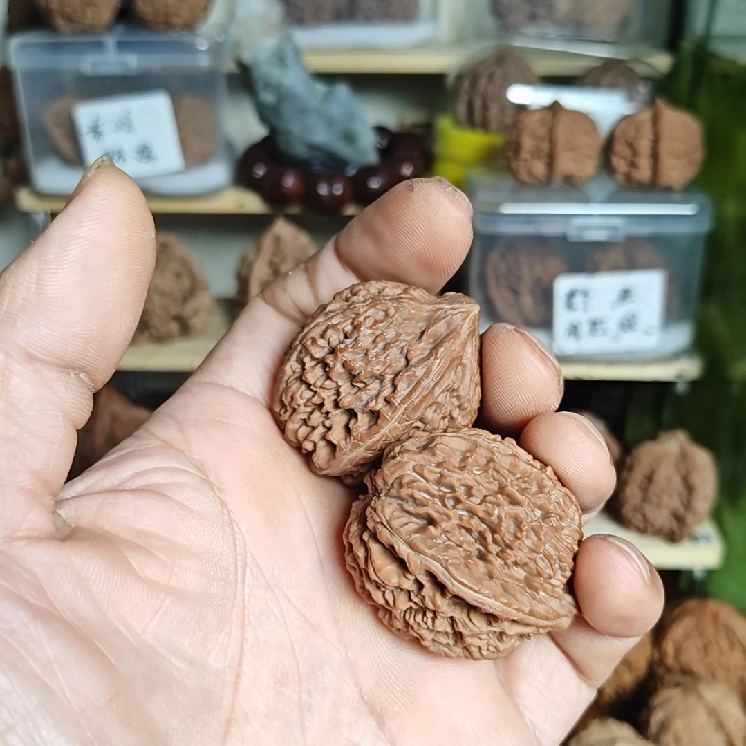 寒***影34十尺寸大蒜头，看好下单