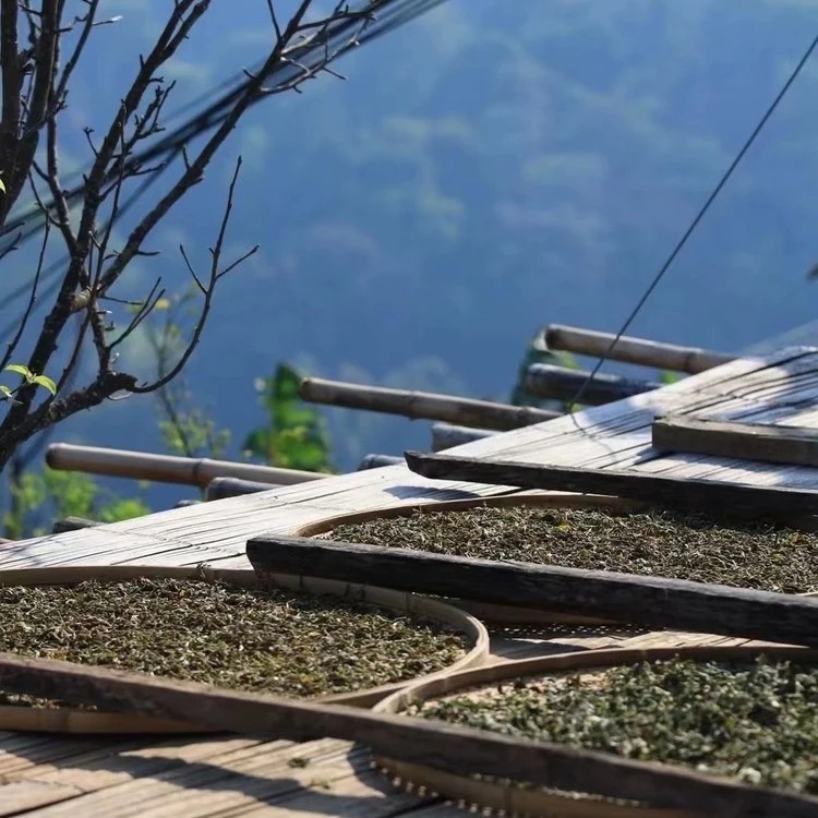 2021新班章200克生普普洱茶